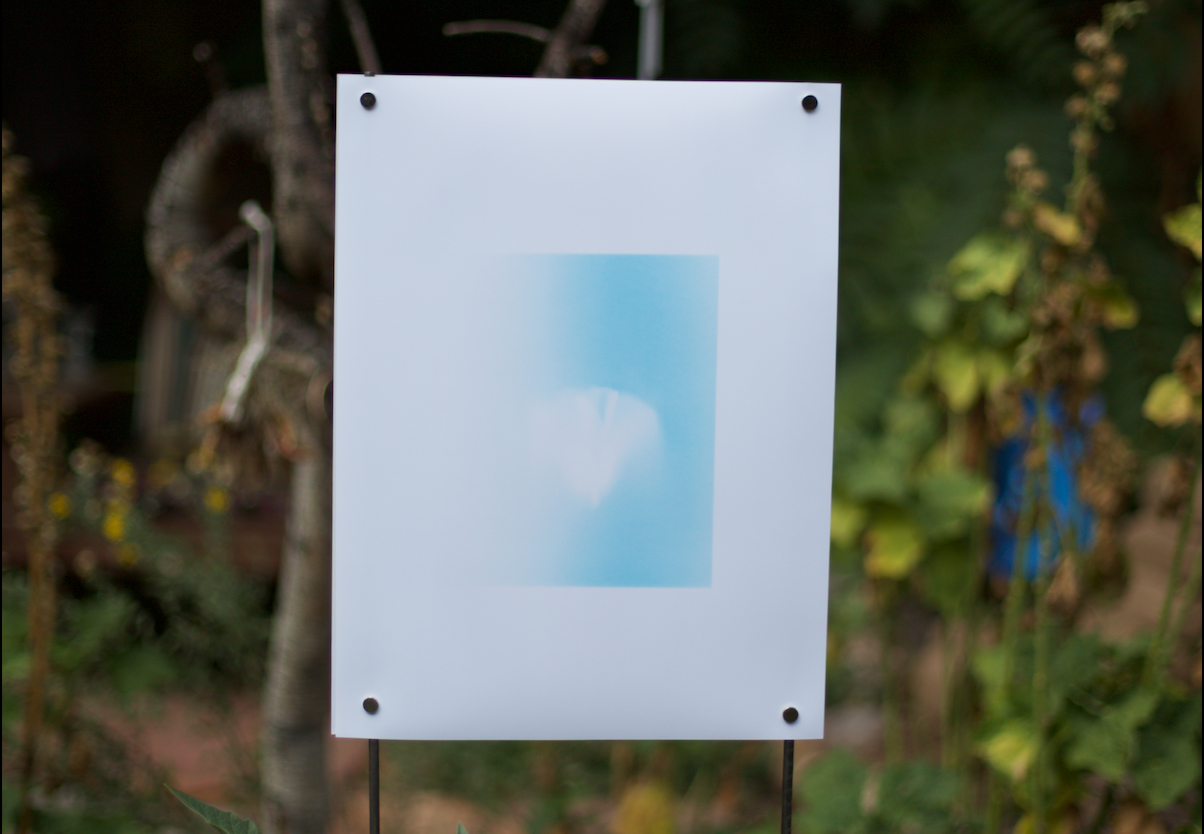 Screen Shot 2025-11-15 at 13.06.33