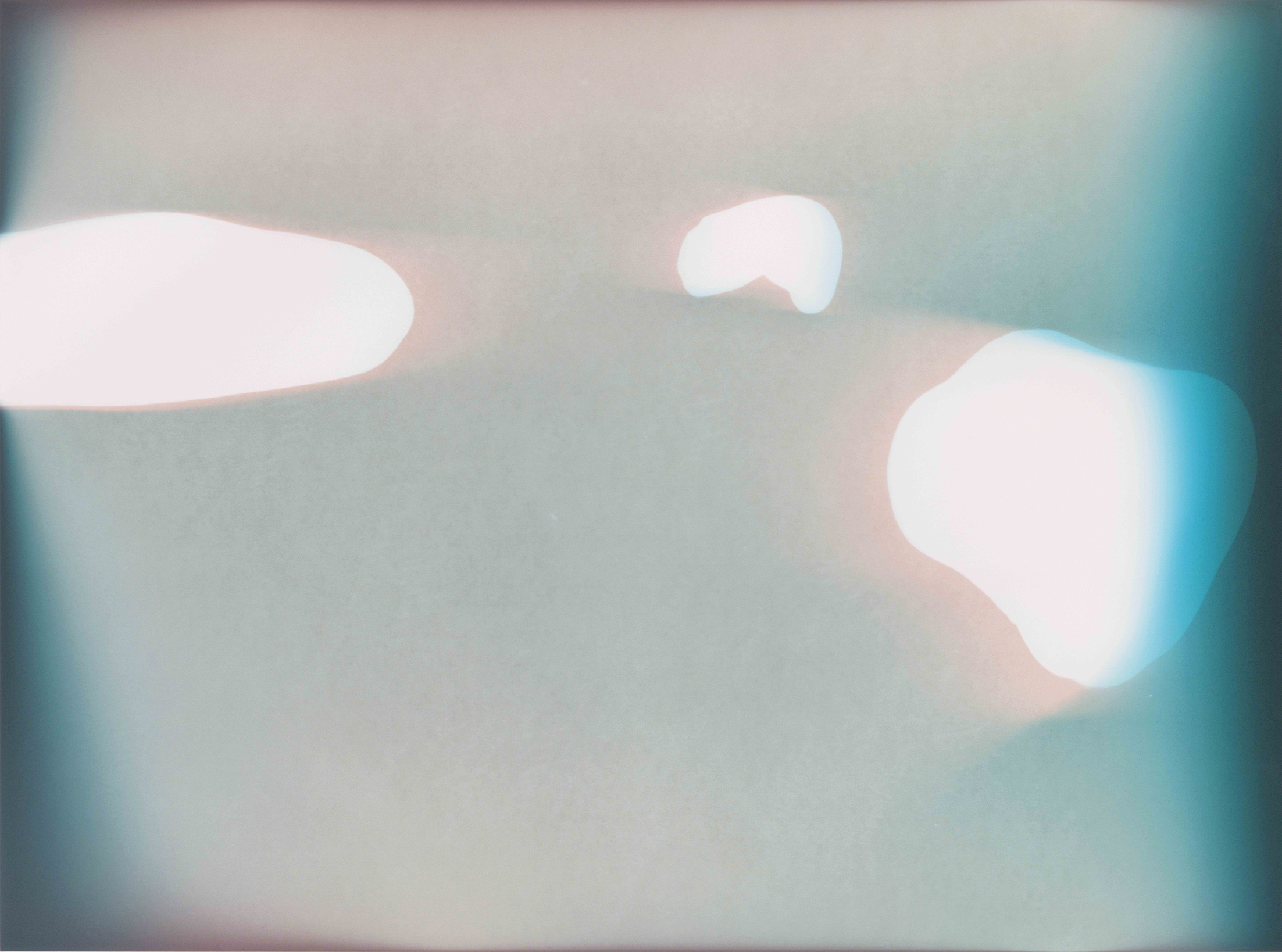 Isar Fries, Rewilded (Untitled 5), 2026, 30,5 x 40,6 cm, analog C-Print, unique