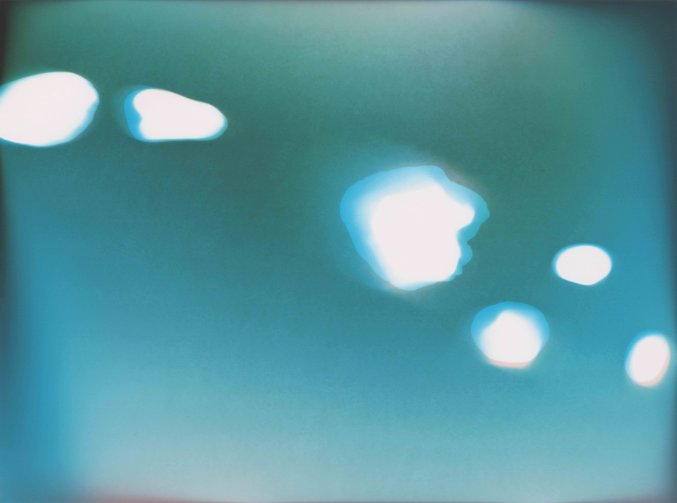 Isar Fries, Rewilded (Untitled 8), 2026, 30,5 x 40,6 cm, analog C-Print, unique