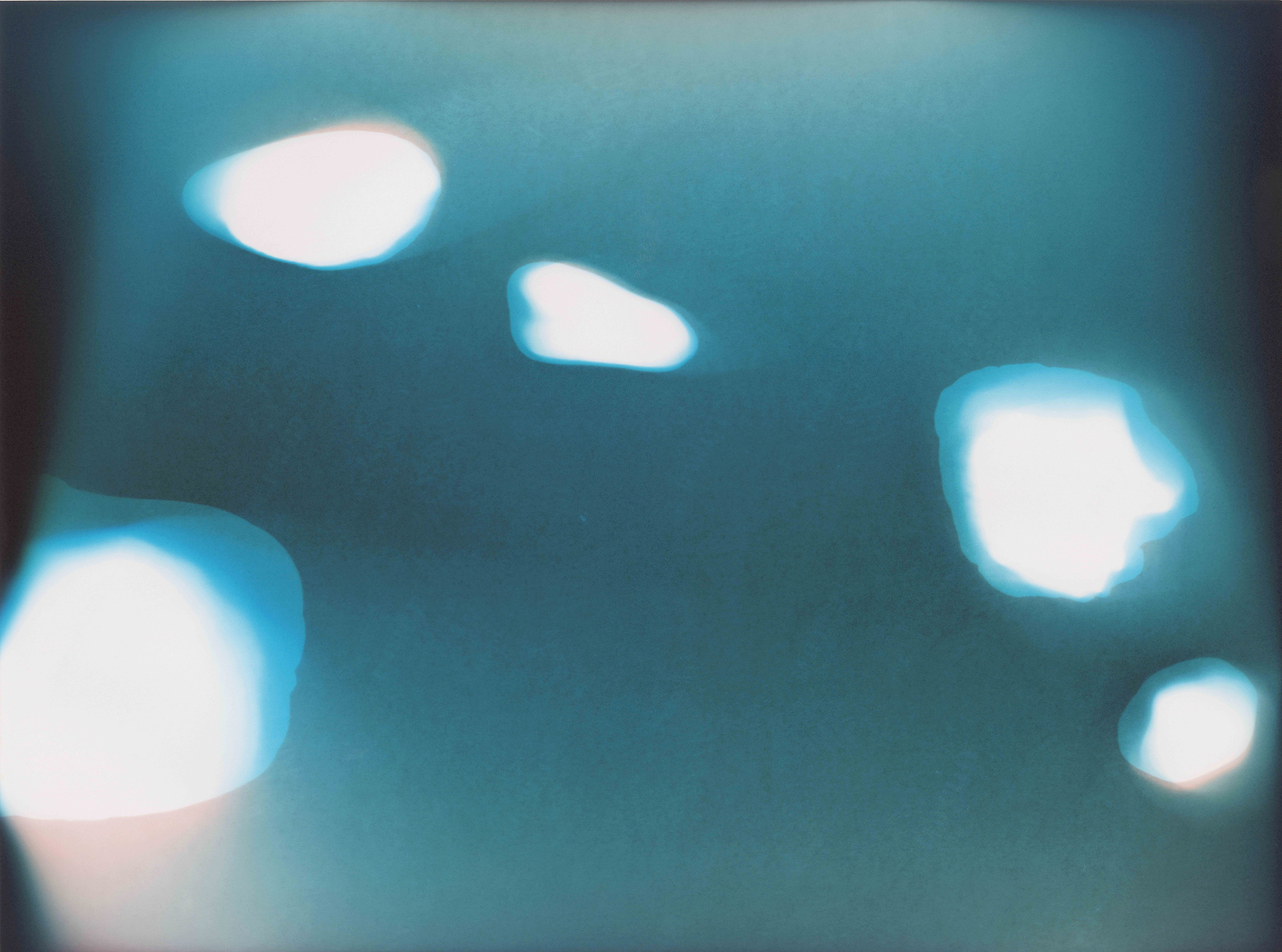 Isar Fries, Rewilded (Untitled 9), 2026, 30,5 x 40,6 cm, analog C-Print, unique