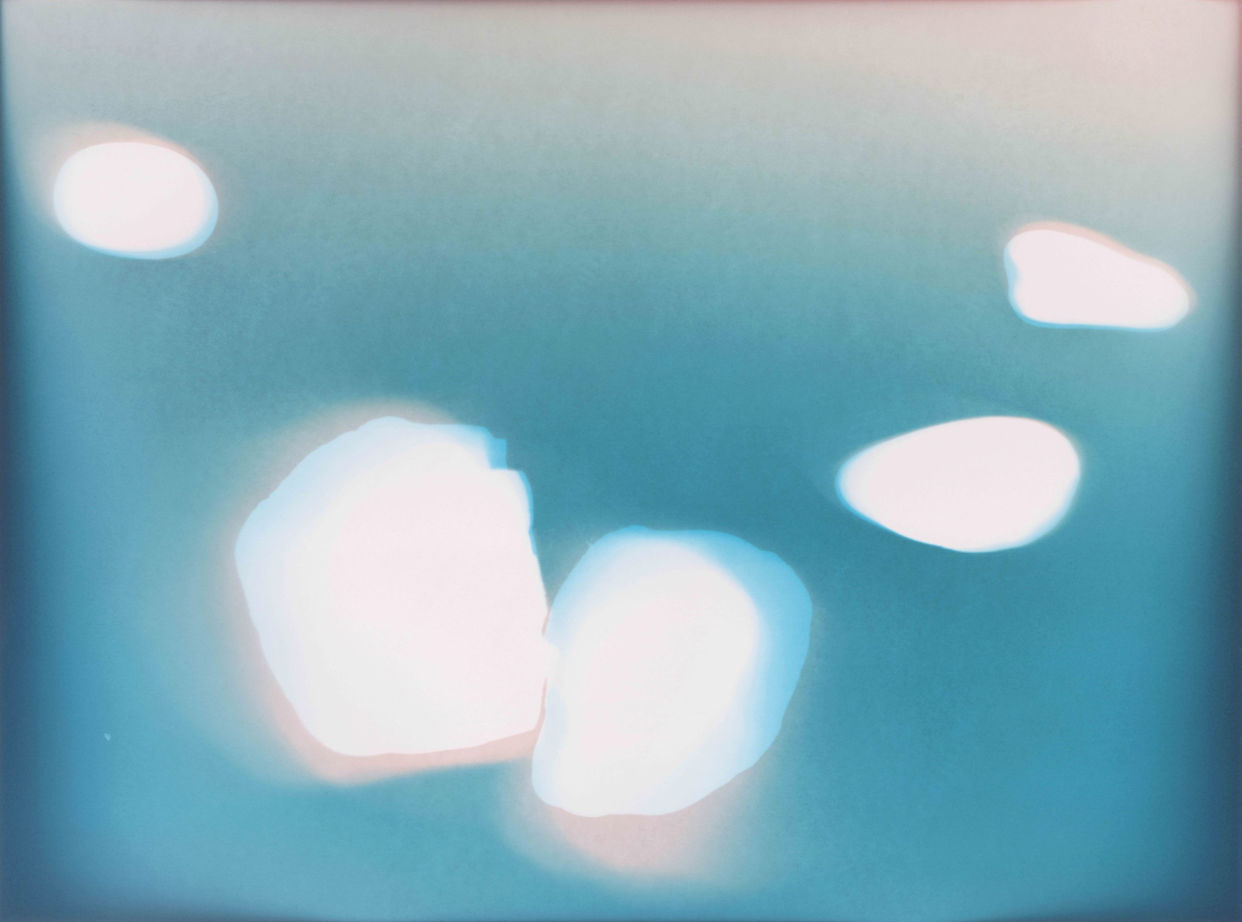 Isar Fries, Rewilded (Untitled 11), 2026, 30,5 x 40,6 cm, analog C-Print, unique