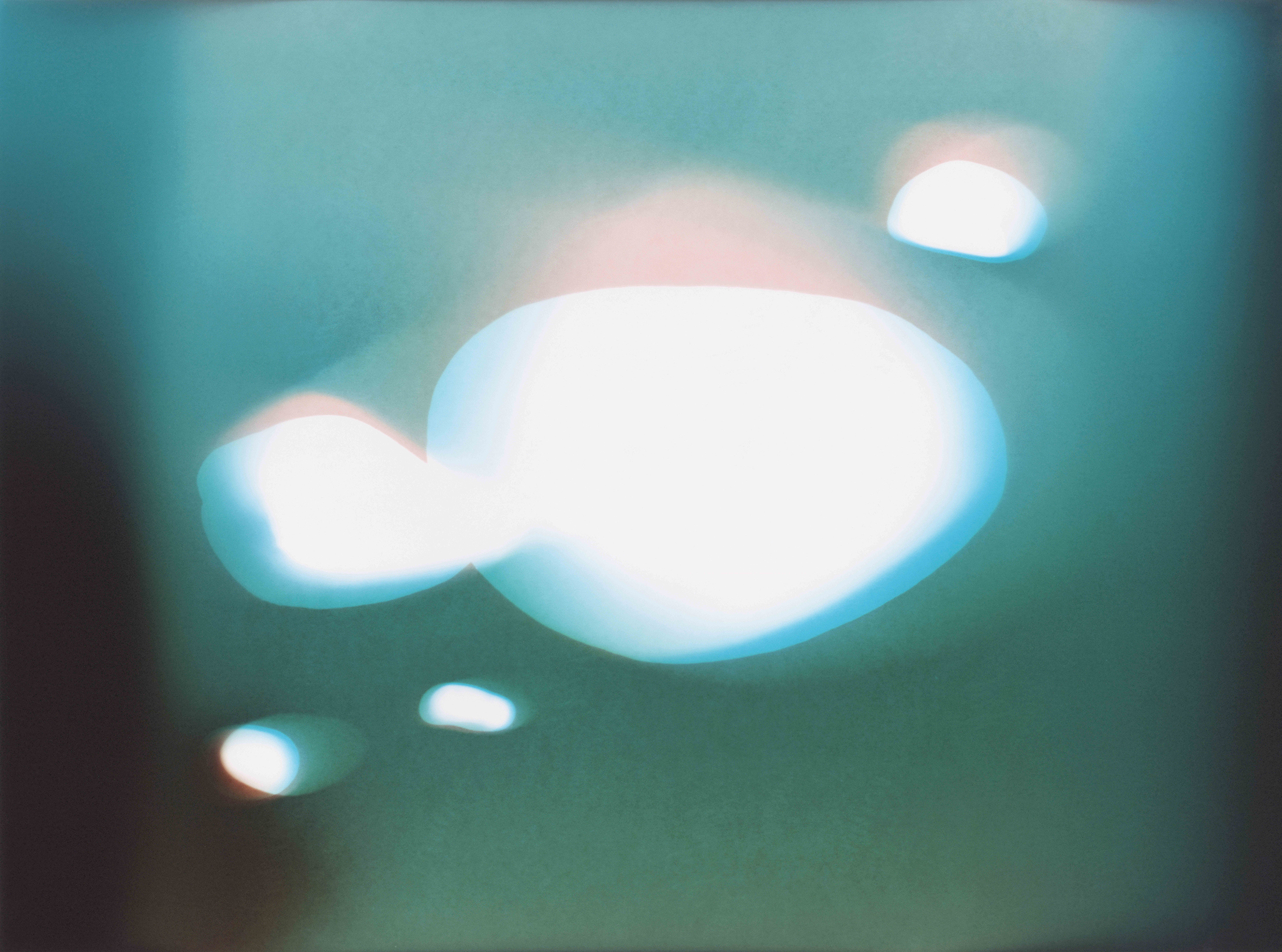 Isar Fries, Rewilded (Untitled 21), 2026, 30,5 x 40,6 cm, analog C-Print, unique